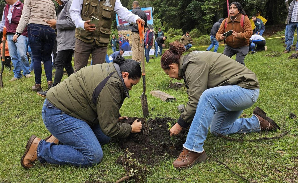Alhely Rubio Arronis, secretaria del Medio Ambiente y Desarrollo Sostenible, lideró el arranque del programa / Foto: Especial