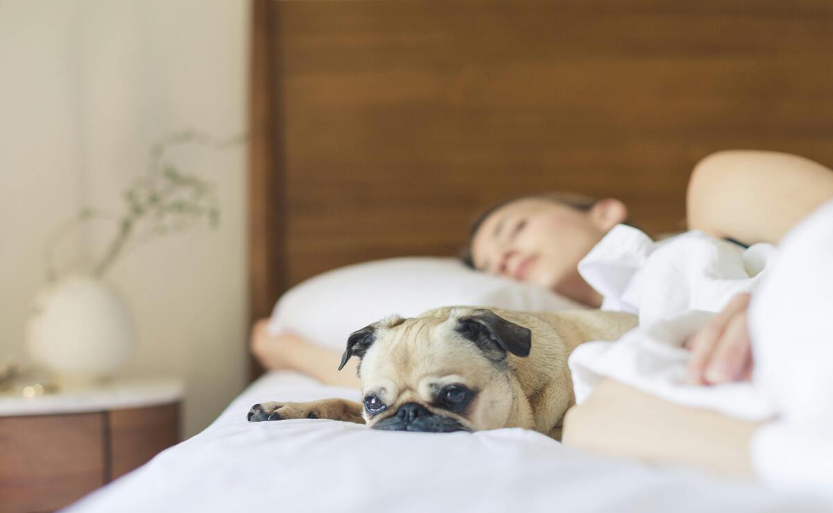 Dormir bien es esencial para recuperar tu cuerpo. Foto: Especial