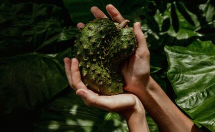 Guanábana: La fruta milagrosa con múltiples beneficios para la salud