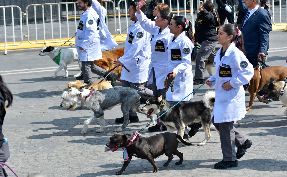 Mujeres y animales de compañía desfilan en Edomex. Foto: Arturo Hernández