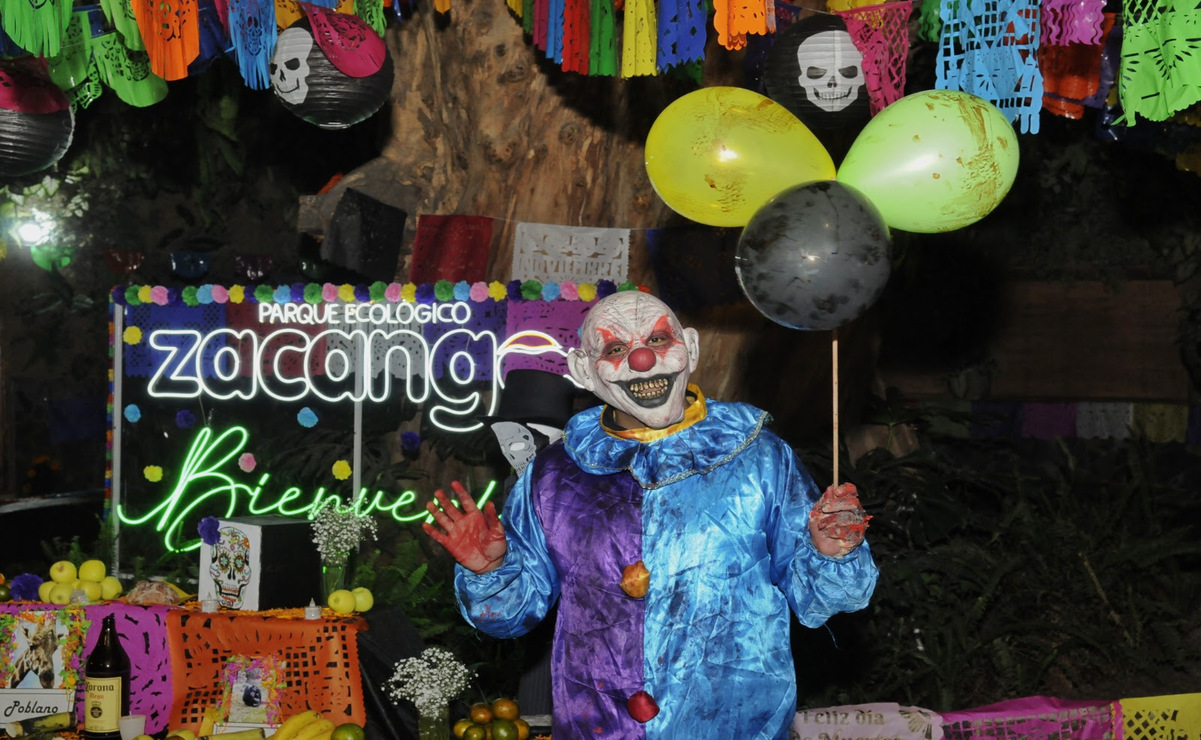 Familias mexiquenses disfrutan de recorridos nocturnos en el Parque Ecológico “Zacango”
