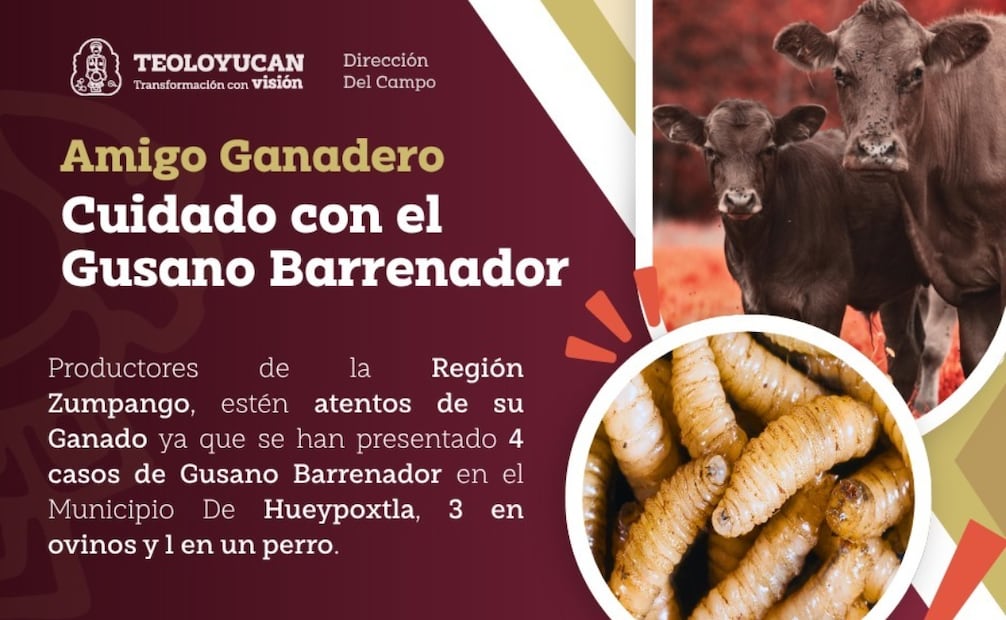 La Dirección del Campo de Teoloyucan puso a disposición números telefónicos para recibir reportes ciudadanos inmediatos. Foto Especial