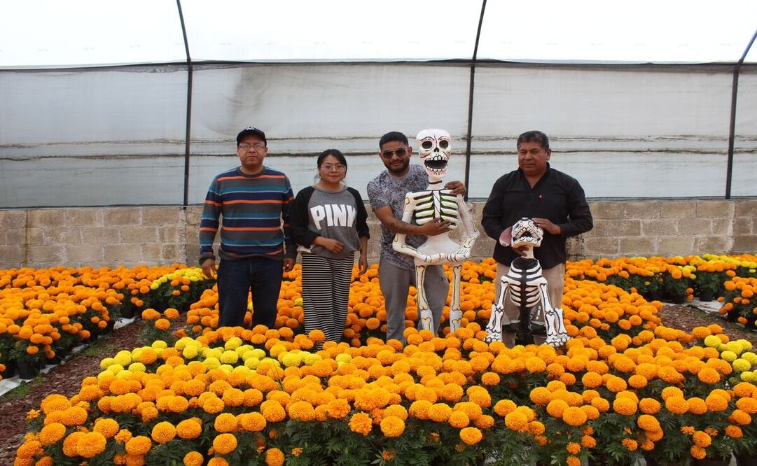 La familia Esquivel, originaria de Xonacatlán, desde hace nueve años se dedica a la siembra del cempasúchil / Foto Karen Aldama