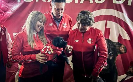 ¡Goleada de amor! Edomex llevará jornada de adopción de mascotas al partido México vs. Serbia