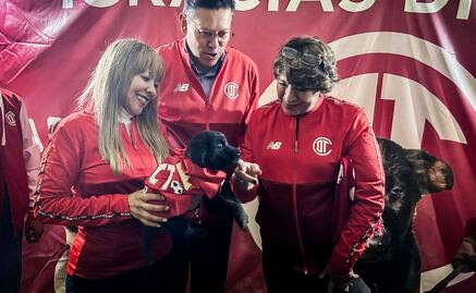 ¡Goleada de amor! Edomex llevará jornada de adopción de mascotas al partido México vs. Serbia