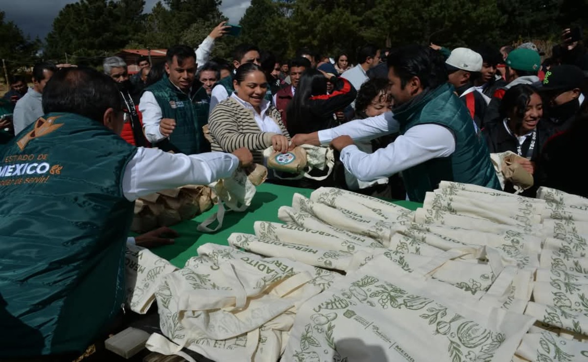 La composta se esparcirá en árboles, arbustos y jardines Foto/ Especial