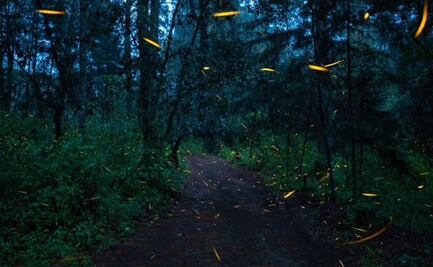 Edomex: Descubre un paraíso ecoturístico durante todo el año