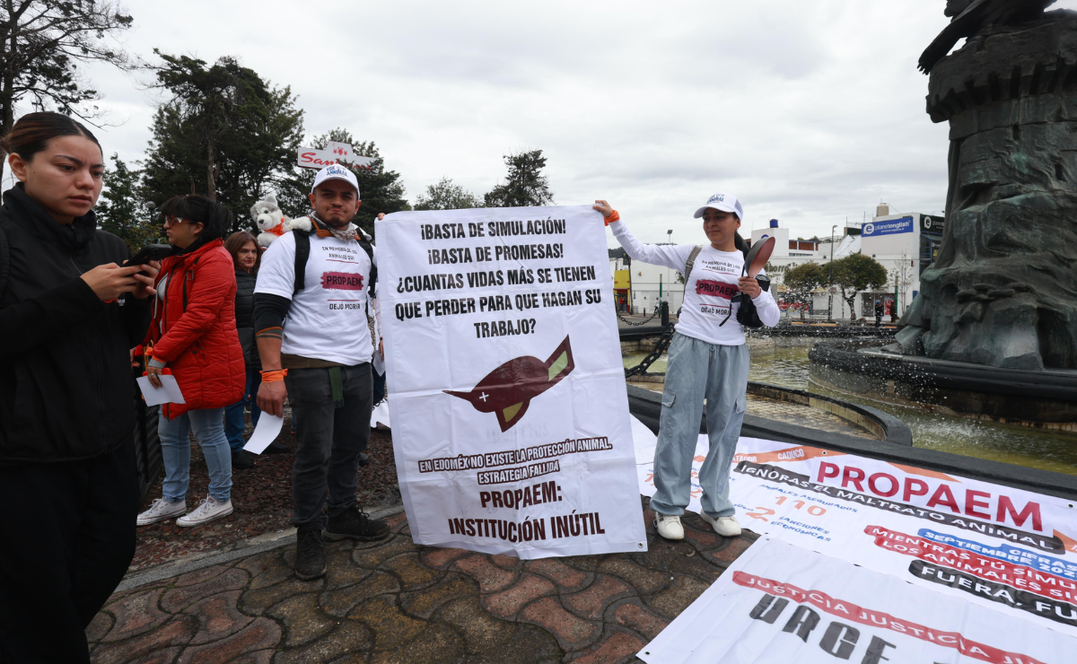 Colectivos en Toluca exigen la desaparición de la PROPAEM, a la que tachan de "inútil" ante miles de casos de maltrato animal impunes Foto: Alejandro Vargas