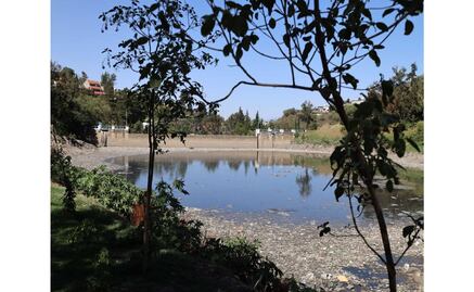 Huixquilucan: Autoridades buscan terminar con la peste en la Presa El Capulín