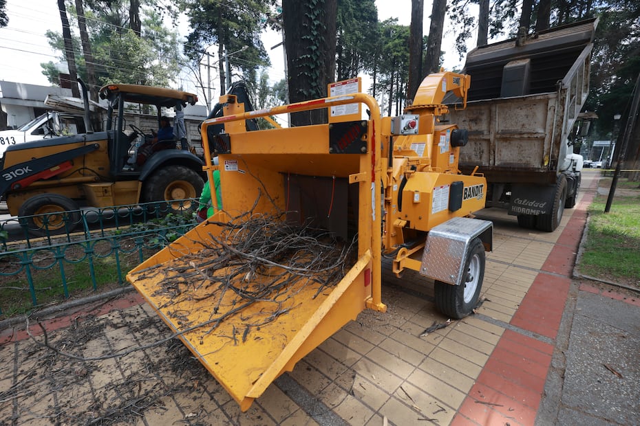 Las maniobras se realizan con apoyo de Protección Civil, Medio Ambiente, Servicios Públicos y Parques y Jardines para garantizar la seguridad durante el operativo. Foto Alejandro Vargas/El Universal Edomex