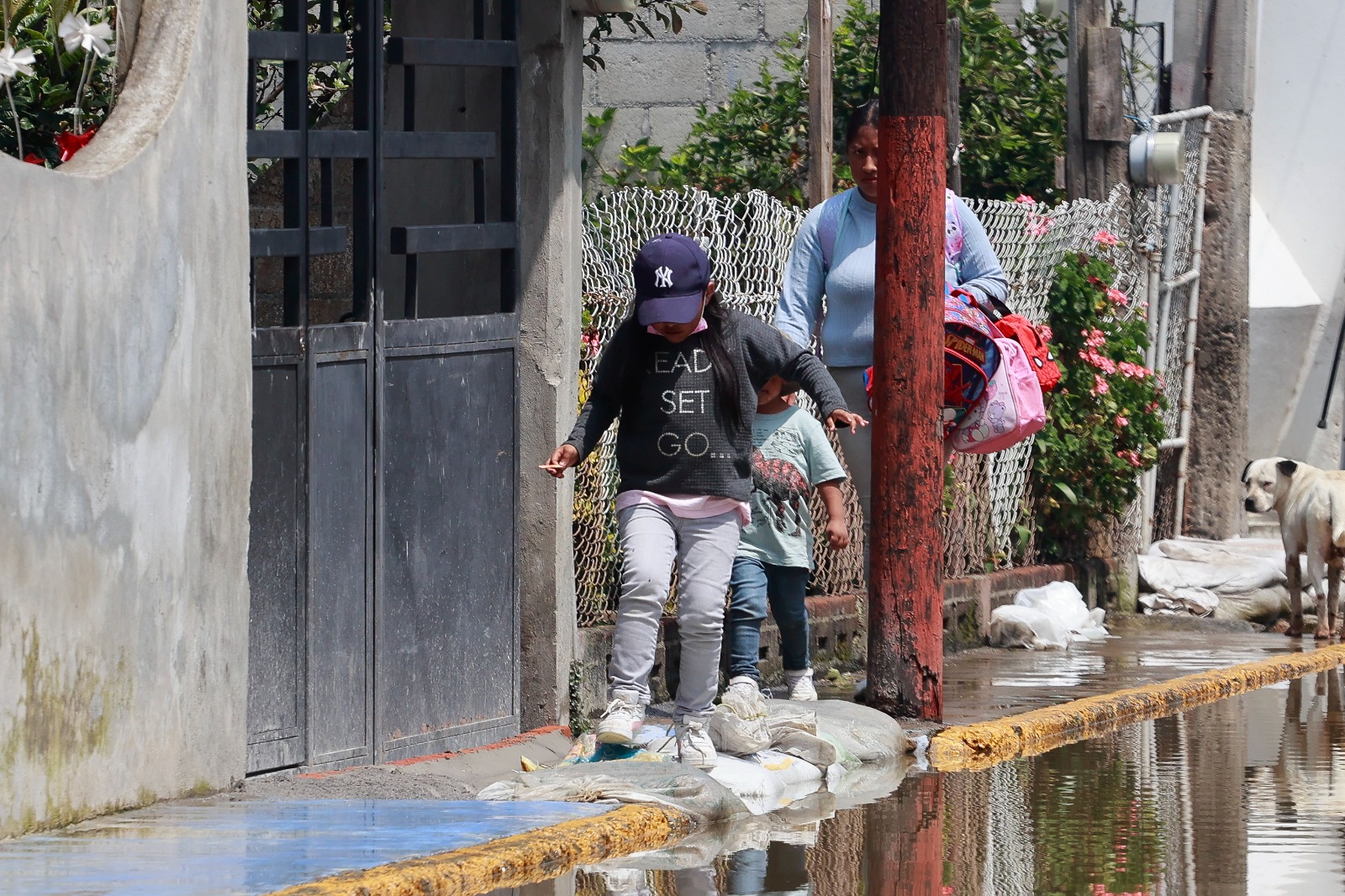 Algunas tuberías y coladeras se han llenado de aguas negras, otras se han fisurado y la mayoría están al tope por lo que las calles están inundadas.