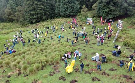 Alivio ambiental en Edomex: Arranca plan de restauración de ecosistemas a gran escala