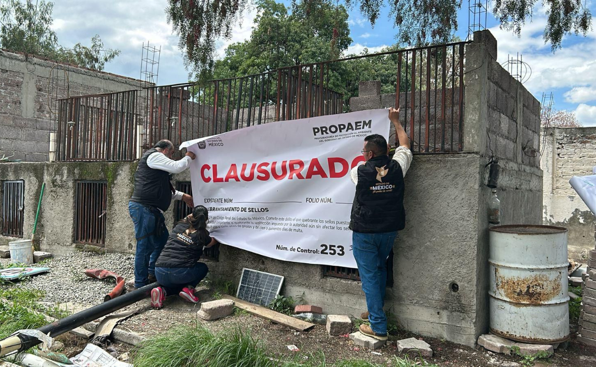 Autoridades clausuran un centro de "atención" en Teotihuacán y rescatan a un perro en grave abandono. El Edomex reafirma su "tolerancia cero" al maltrato animal. Foto: Especial