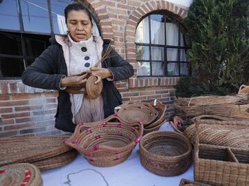 Mujer convierte residuos forestales en artesanías