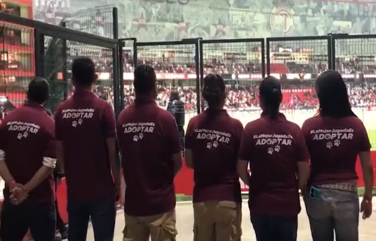 La acción fue coordinada entre a Comisión Estatal de Parques Naturales y de la Fauna y el Deportivo Toluca Futbol Club. Foto Especial