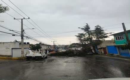Árboles derribados y calles anegadas, el saldo de la tormenta en el valle de México