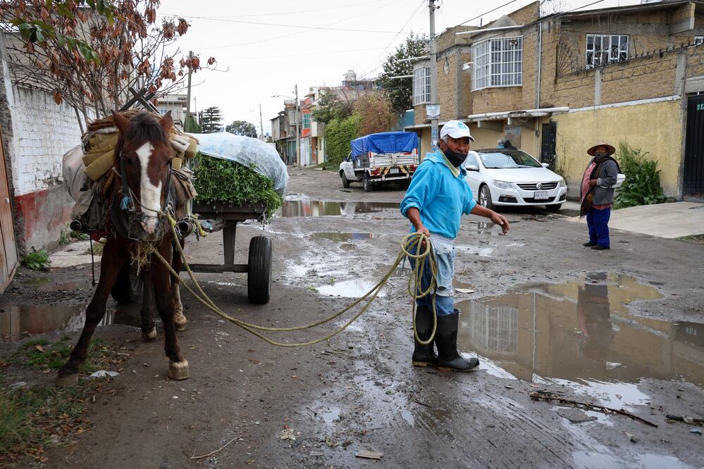Pese a las inundaciones, José y Graciela tienen que salir a vender la alfalfa por esa comunidad. Foto Luis Camacho