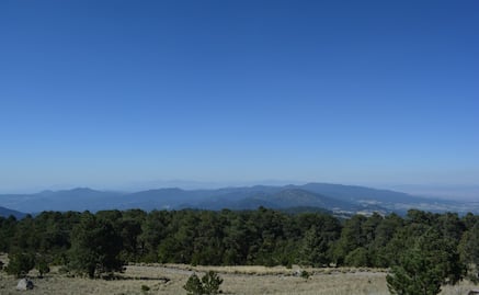 Suspenden Contingencia Ambiental en Valle de Toluca y Santiago Tianguistenco