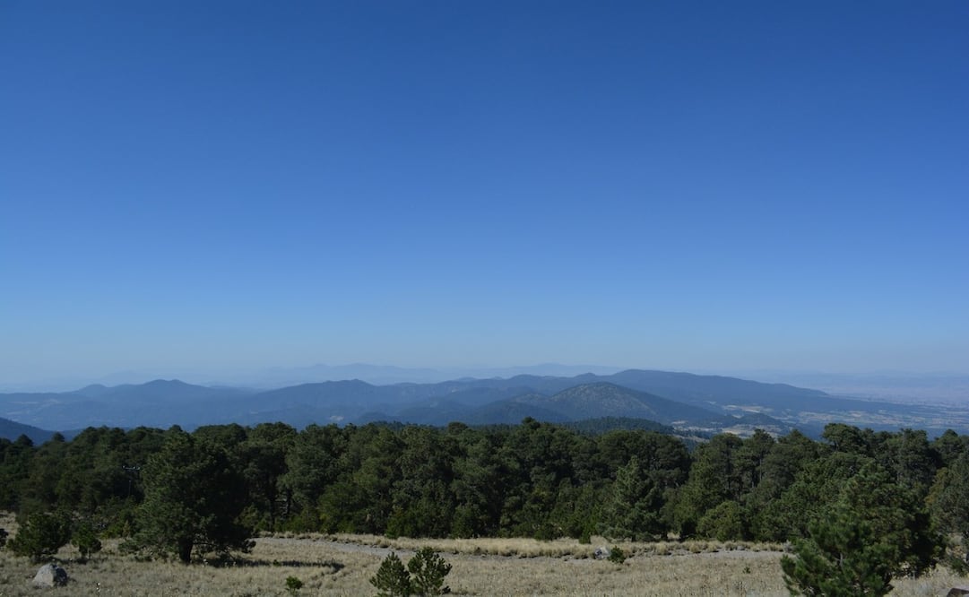 La mañana de este 26 de diciembre las concentraciones de partículas disminuyeron / Foto Especial