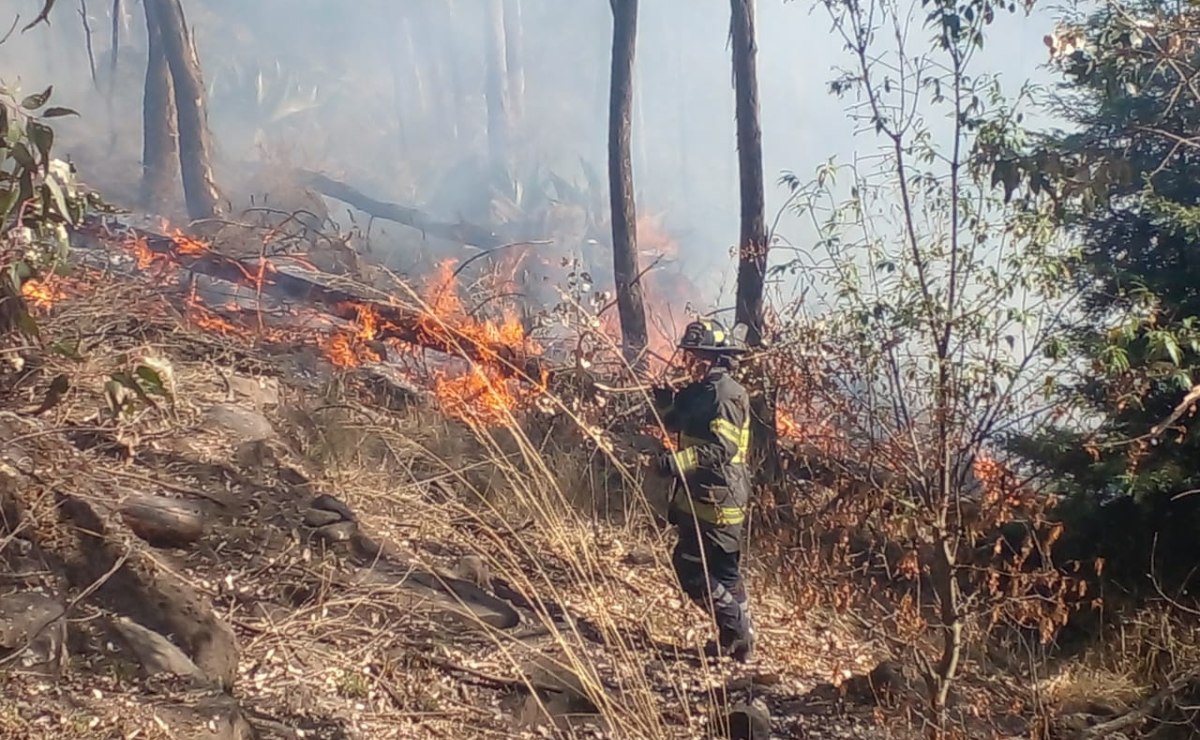 Incendio en Toluca: La oportuna intervención de Protección Civil y Bomberos permitió controlar el fuego en el cerro de La Teresona Foto: Especial
