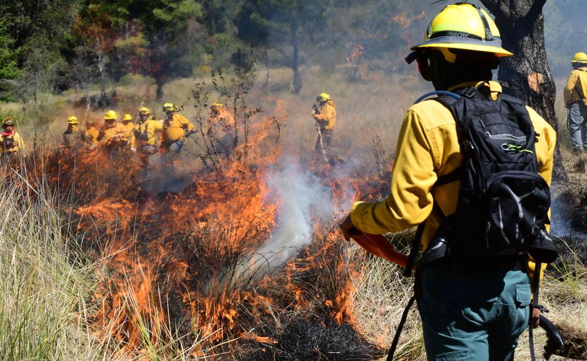 En México se han registrado 6 mil 542 incendios forestales que representan daños para un millón 107 mil 468 hectáreas. Foto: Especial