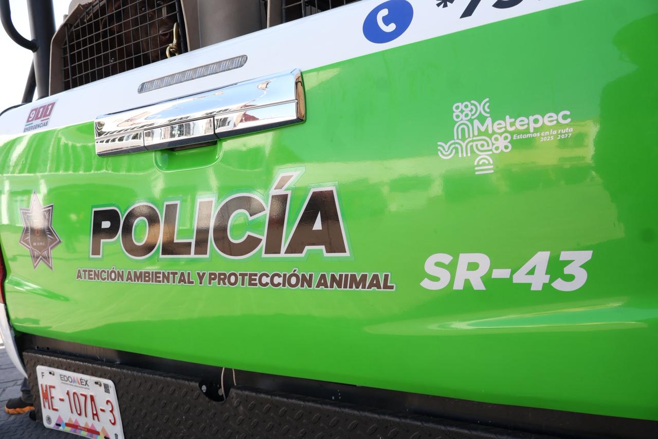 La PAAPA, nació de un llamado ciudadano para dar certeza jurídica a los casos donde se atenta contra la ecología. Foto: especial