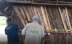 Profepa clausura obras ilegales en áreas protegidas de Villa de Allende y Valle de Bravo