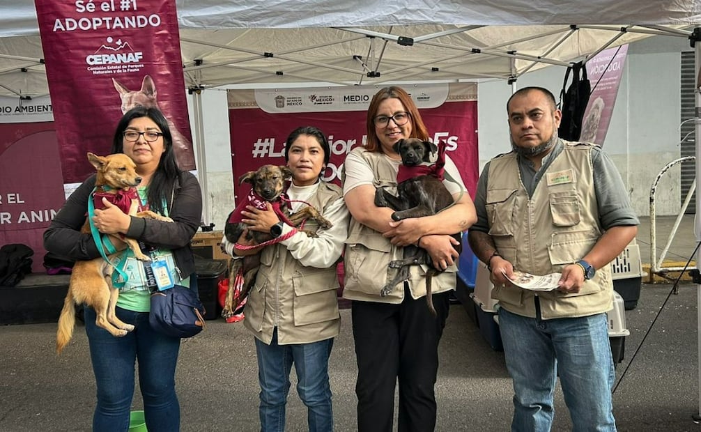 Hasta ahora, 155 "seres sintientes" han encontrado una familia gracias a esta iniciativa en eventos deportivos. Foto Especial