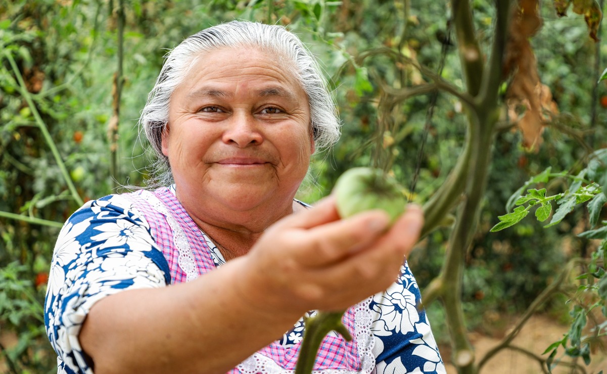 El proyecto Mujeres Unidas Construyendo Economía Solidaria en México (MUCESMEX), es una iniciativa que ha echado raíces entre mujeres campesinas y habitantes de comunidades indígenas. Foto: Especial