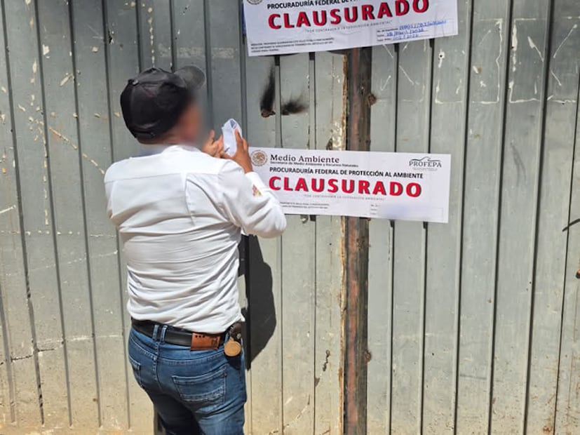 Personal de la Profepa llevó a cabo las inspecciones en los tres predios del Edomex. Foto. Especial.