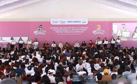  Donaciones de “Croquetmanía” apoyarán a 250 protectoras de animales 