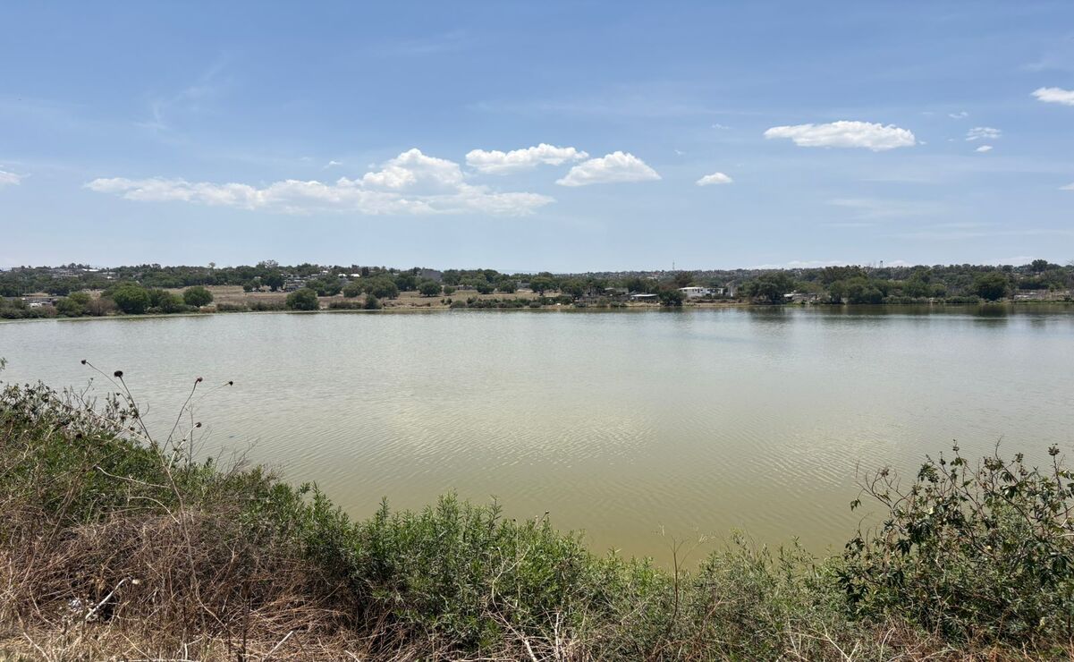 La idea es diseñar humedales, un parque lineal bio-filtrante y un colector marginal para sanear la Laguna La Piedad. Foto: Arturo Contreras / El Universal Estado de México