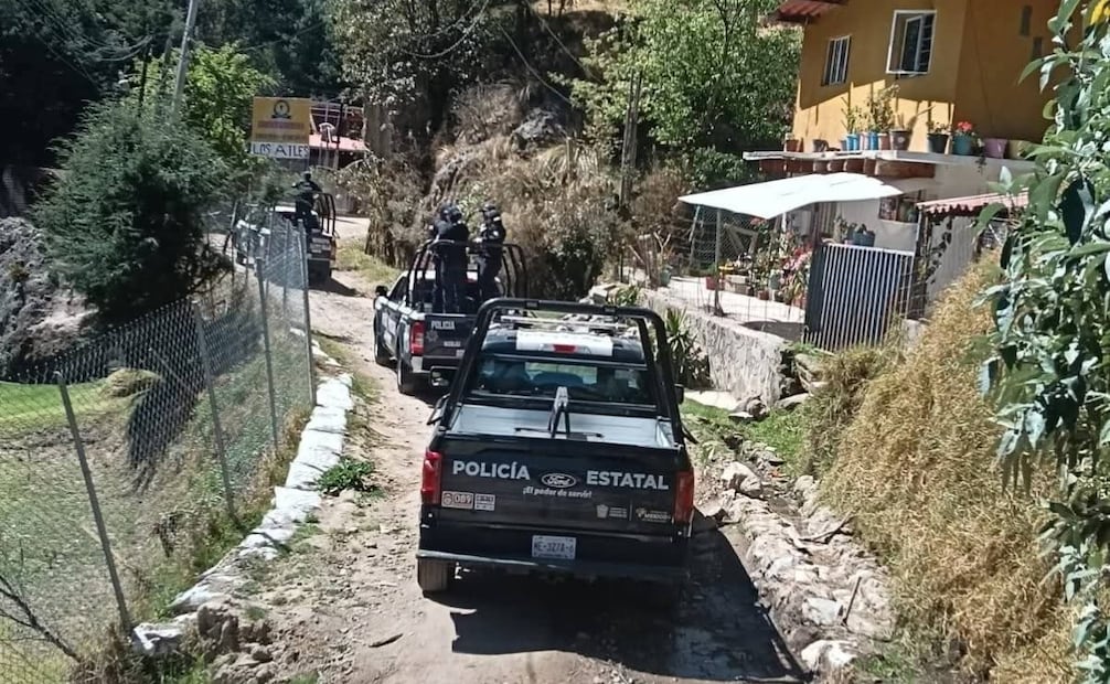 Alcaldes del Valle de México se reúnen con la Secretaría de Gobernación para combatir la tala que afecta también a Jilotzingo y Naucalpan. Foto Especial