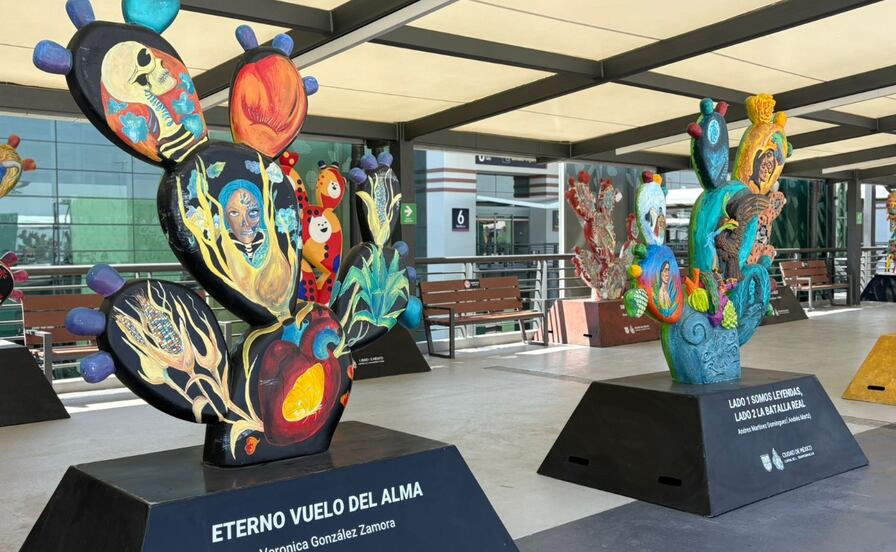 Nopalera en el Corazón: Exhiben 200 esculturas con forma de nopal en el AIFA
