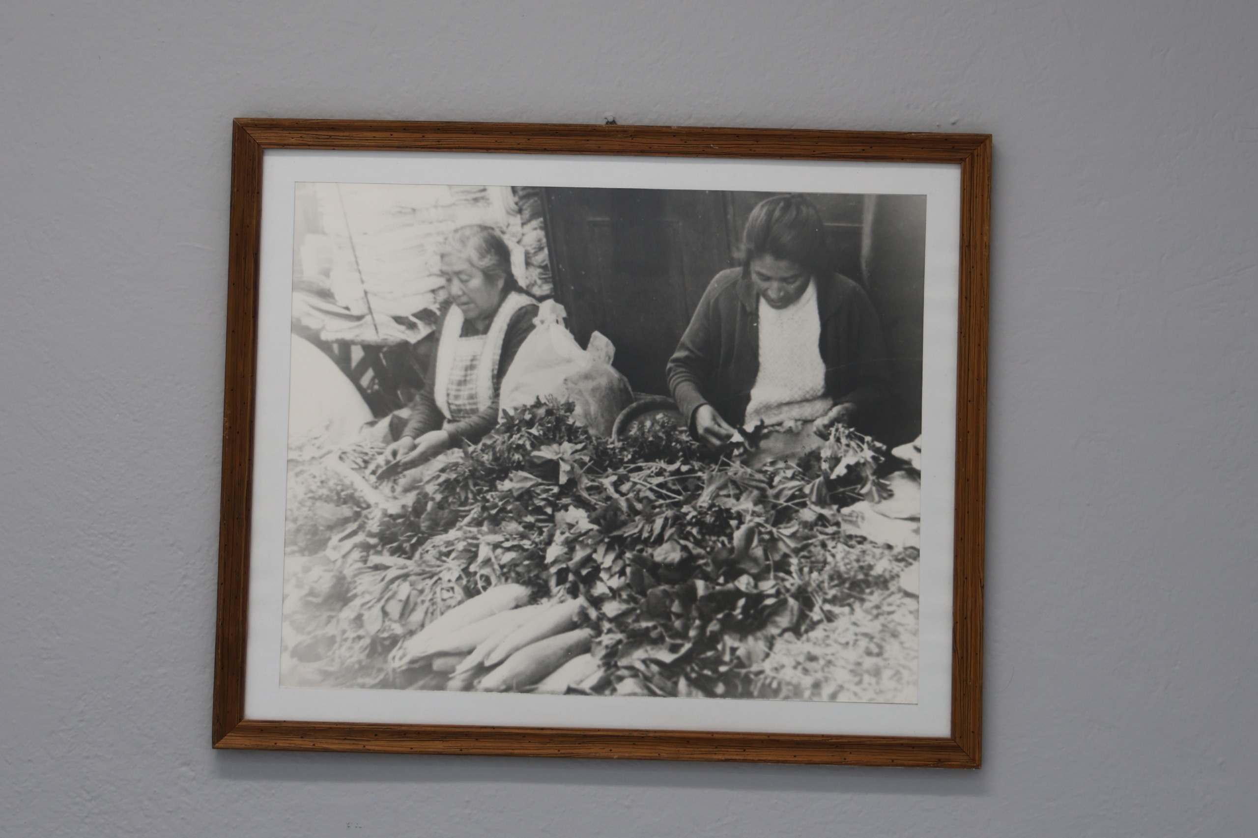 Los horarios para poder visitar la exposición son de lunes a viernes, de 9:00 a 17:00 horas. Foto: Especial