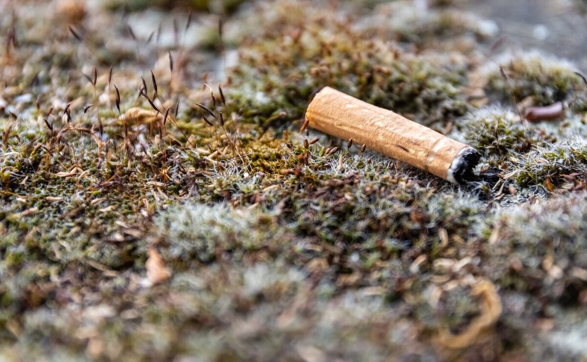 Las colillas de cigarros contaminan el agua potable y salada. Foto: Especial.