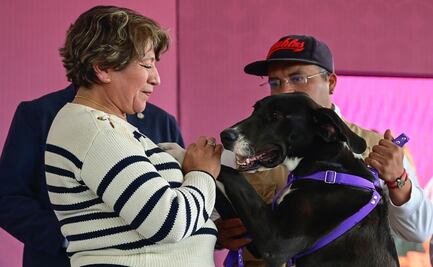 Gobierno de Delfina Gómez construye espacios recreativos para mascotas
