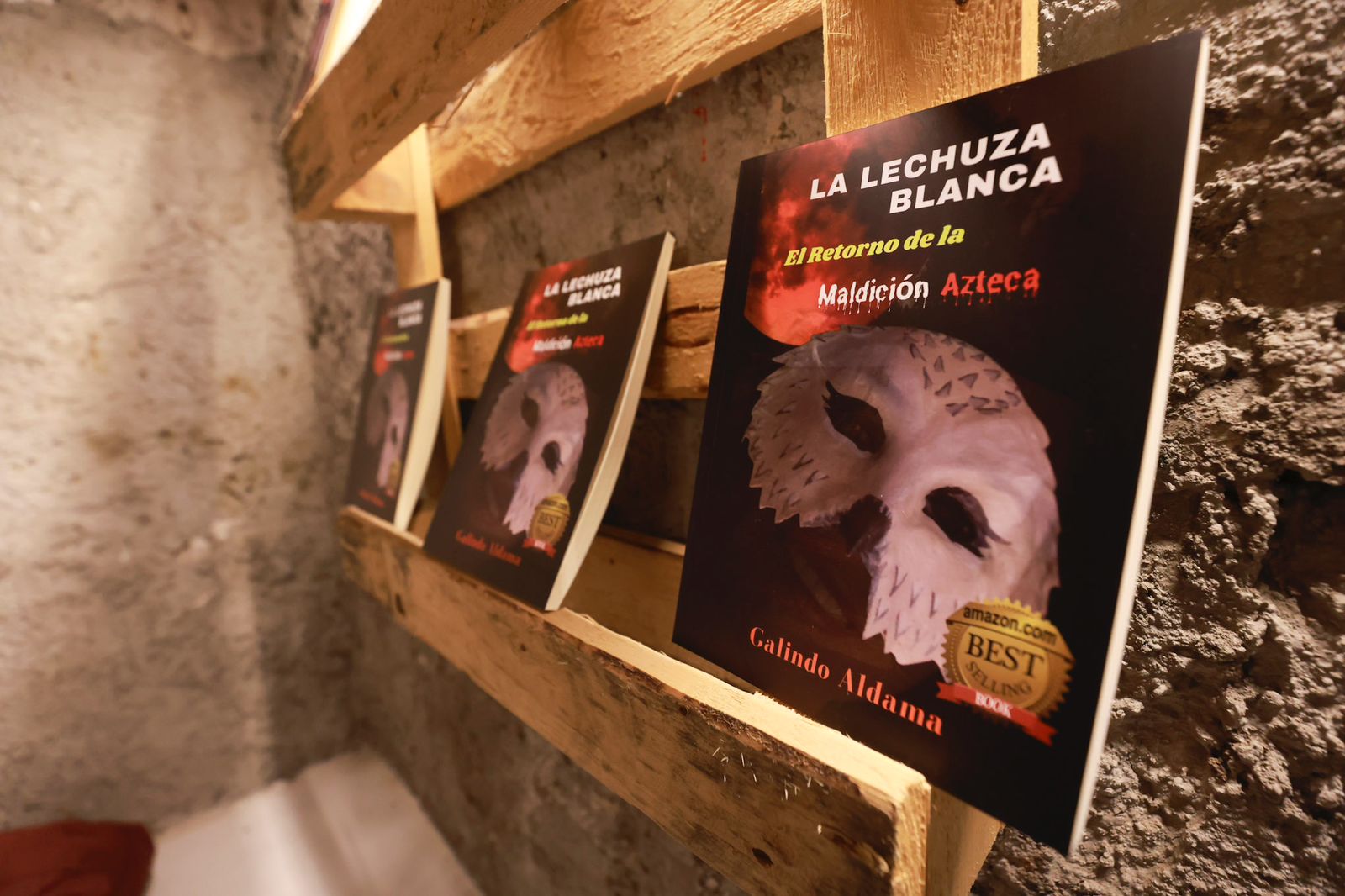 Uno de los objetivos es reconocer el valor de los libros como instrumentos universales / Foto: Alejandro Vargas