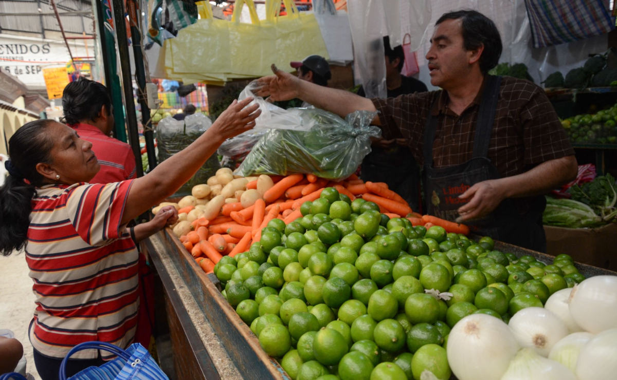 El DIFEM ha implementado programas para combatir ambas problemáticas. Foto: Arturo Hernández