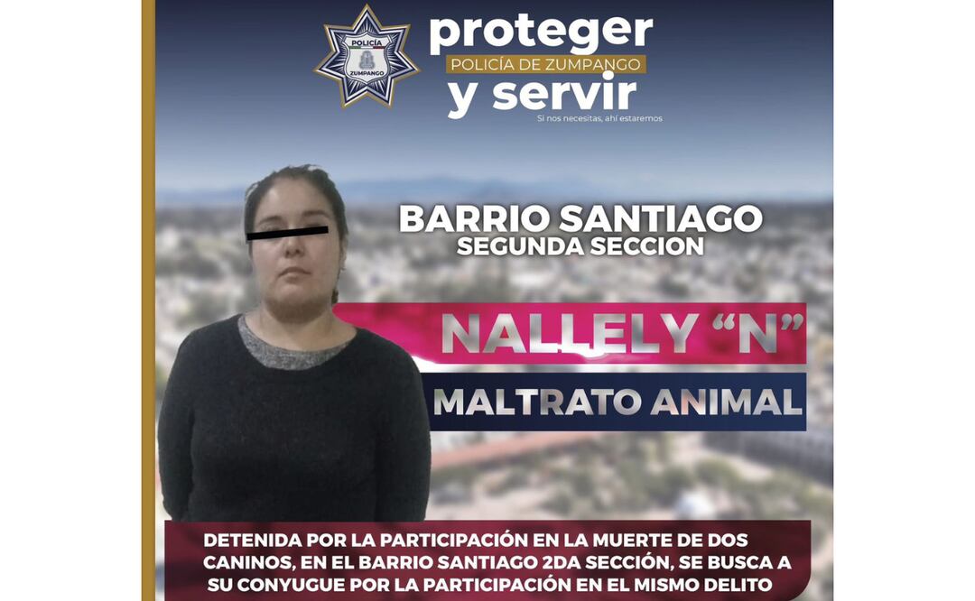 La detención en Zumpango de una mujer, presuntamente responsable de la brutal muerte de "Jacko" y "Balú", resalta la creciente preocupación por el maltrato animal en la región. Foto: Especial