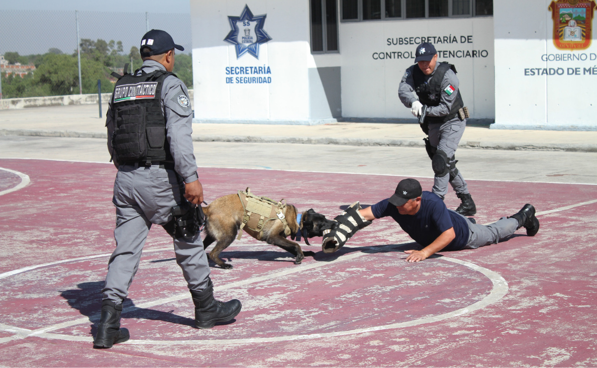 ¡Guardianes de cuatro patas! La Unidad Canina que blinda las cárceles del Edomex 