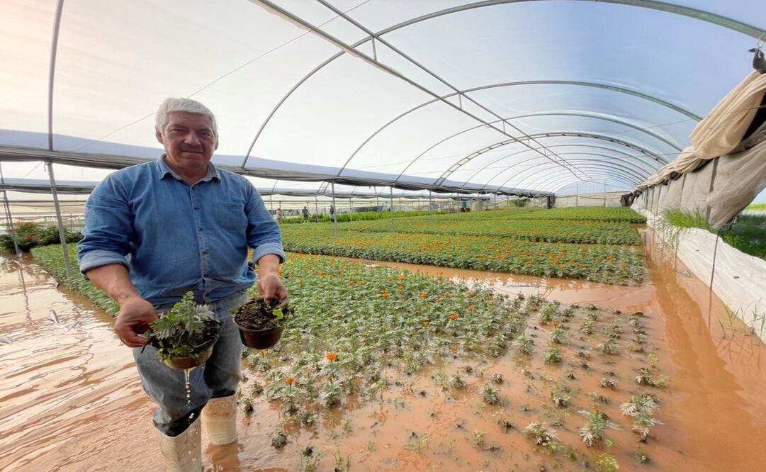 Algunos productores de flor han cambiado de actividad / Foto: Michelle Sánchez