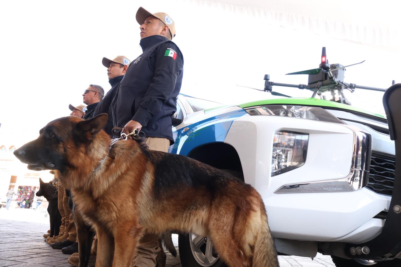 Estarán dedicados a prevenir, socializar, atender y en su caso, ejecutar medidas de aseguramiento de quienes atenten contra la vida y el bienestar animal. Foto: especial
