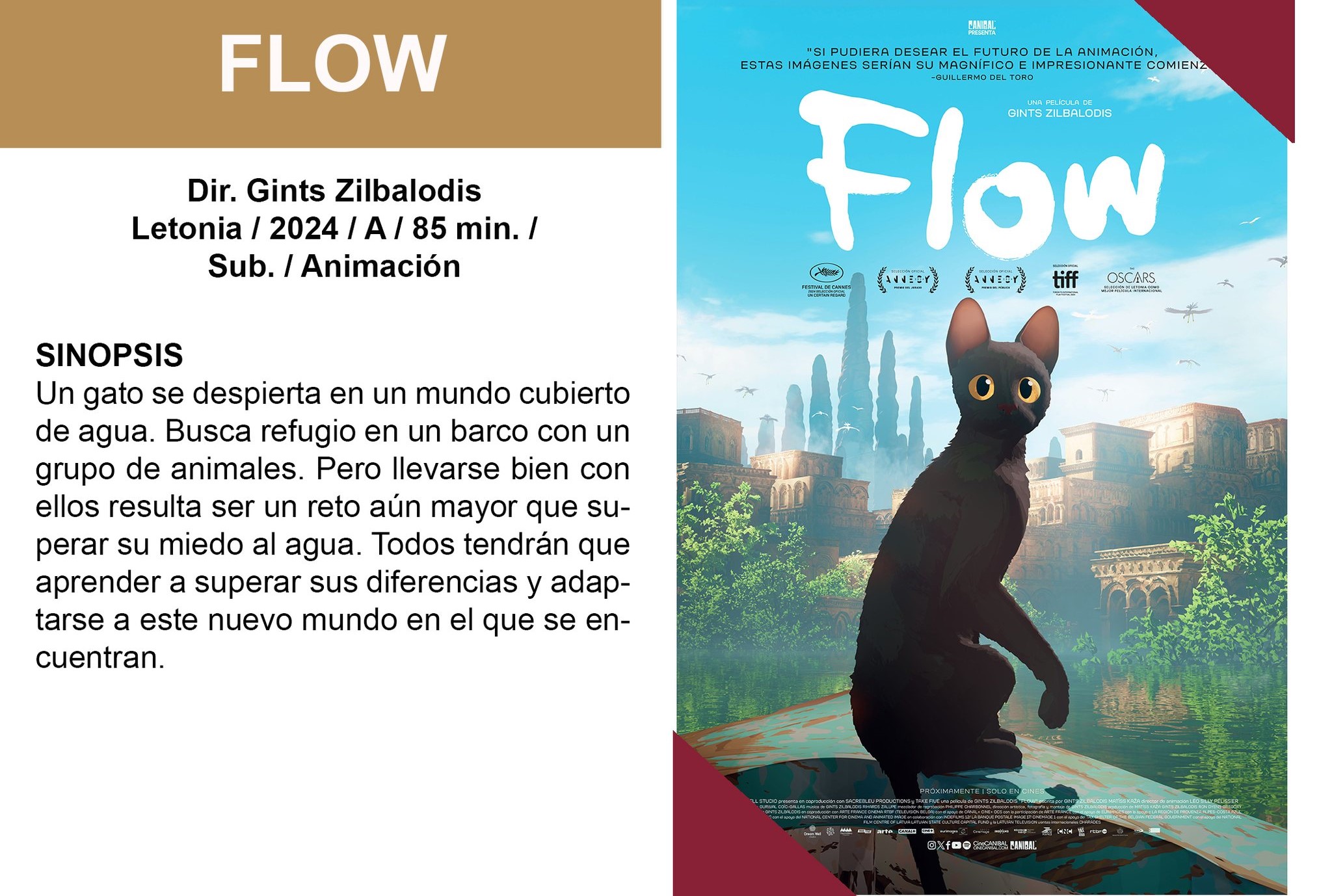 Flow logró 2 nominaciones al Oscar / Foto Especial