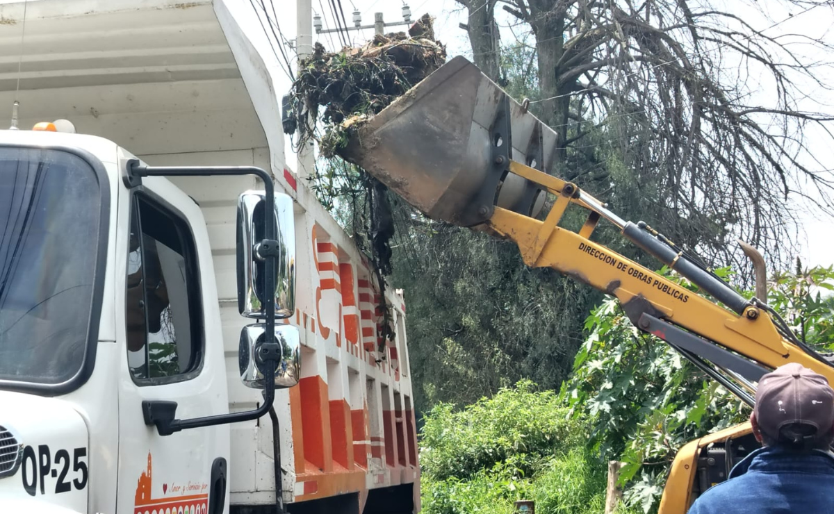 Lluvias derriban árbol en Tepotzotlán, bloqueando Río Hondo; municipios y CONAGUA actúan. Foto: Especial
