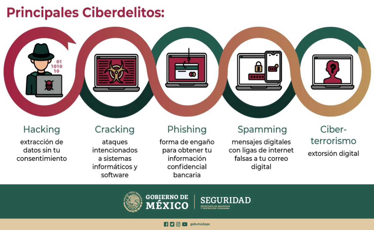 Principales ciberdelitos. Foto: Secretaría de Seguridad y Protección Ciudadana