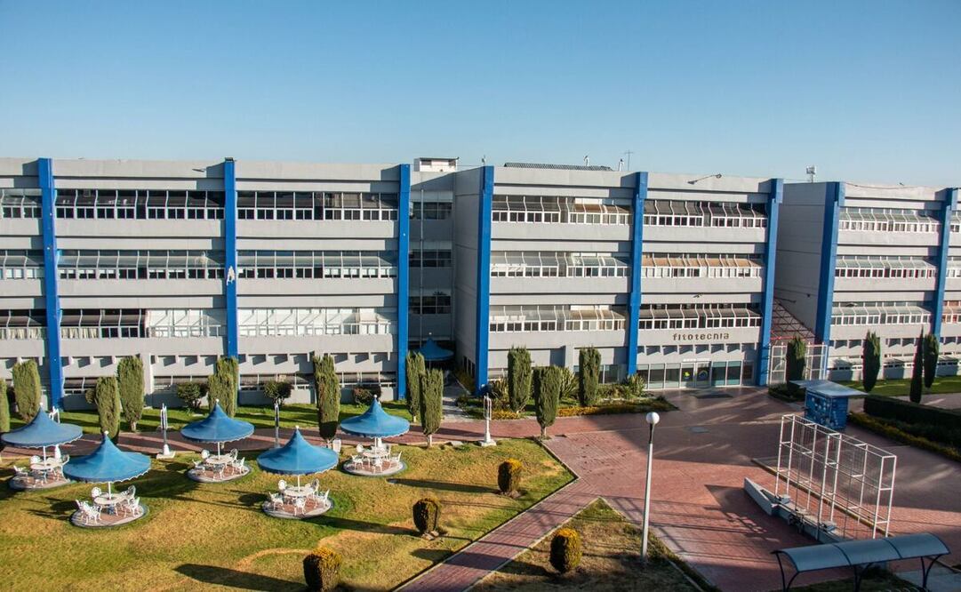 Chapingo es la institución agrícola más importante de América Latina / Foto: Especial