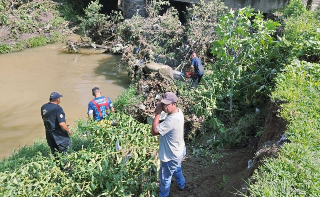 Árbol gigante en Río Hondo: Tepotzotlán e Izcalli trabajan juntos para despejarlo tras lluvias. Foto: Especial