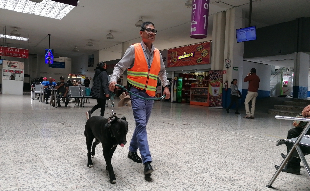 Oso tiene tareas específicas que contemplan mantener seguros a los usuarios de la central camionera / Foto: Claudia Rodríguez