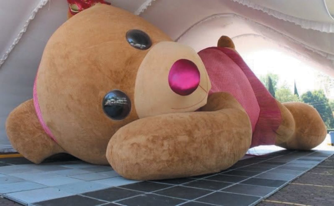 Xonita está de regreso en Xonacatlán / Foto Karen Aldama